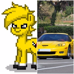 Size: 2160x2160 | Tagged: safe, artist:gloomy brony, derpibooru import, edit, car pony, earth pony, original species, pony, car, chevrolet, chevrolet corvette, corvette, corvette c6, corvette c6 z06, ponified, pony town, solo