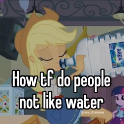 Size: 1080x1080 | Tagged: safe, derpibooru import, edit, edited screencap, editor:mrs.shimmer, screencap, applejack, twilight sparkle, human, equestria girls, equestria girls (movie), caption, drinking, eyes closed, image macro, shitposting, text, water bottle