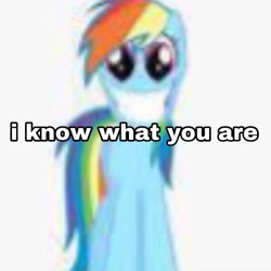 Size: 899x899 | Tagged: safe, derpibooru import, editor:themlpmemesupplier, rainbow dash, pegasus, big grin, caption, grin, image macro, low quality, shitposting, smiling, solo, text