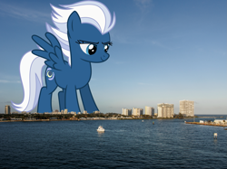 Size: 2343x1757 | Tagged: safe, artist:thegiantponyfan, derpibooru import, night glider, pegasus, pony, female, florida, fort lauderdale, giant pegasus, giant pony, giantess, high res, highrise ponies, irl, macro, mare, mega giant, photo, ponies in real life, smiling, solo, spread wings, wings