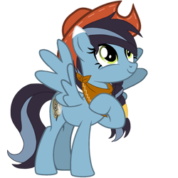 Size: 894x894 | Tagged: safe, artist:nightlightartz, derpibooru import, oc, oc only, pegasus, pony, cowboy hat, female, hat, mare, pegasus oc, simple background, solo, transparent background