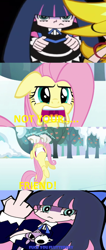 Size: 330x776 | Tagged: safe, artist:kitsonicko, derpibooru import, edit, edited screencap, screencap, fluttershy, cat, human, pegasus, pony, keep calm and flutter on, season 3, anarchy panty, anarchy stocking, angry, apple, bipedal, bow, bracelet, dialogue, ear piercing, earring, ears, female, floppy ears, food, frown, gothic lolita, hair bow, honekoneko, ice, ice skates, ice skating, jewelry, mare, middle finger, mouth hold, panty and stocking with garterbelt, piercing, plushie, snow, text, tree, unamused, vulgar