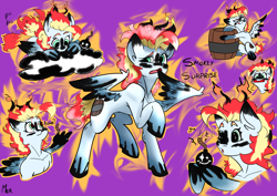 Size: 4961x3508 | Tagged: safe, artist:mekblue, derpibooru import, powder, oc, oc:smokey surprise, pegasus, barrel, bomb, cloud, cute, dirty, dynamite, explosives, fire, gun powder, multiple poses, pegasus oc, reference sheet, solo, spread wings, tail, tail wag, weapon, wings