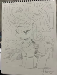 Size: 1536x2048 | Tagged: safe, artist:andypriceart, derpibooru import, maud pie, earth pony, pony, female, mare, pencil drawing, rock, traditional art