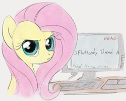 Size: 807x645 | Tagged: safe, artist:dotkwa, derpibooru import, fluttershy, pegasus, pony, computer, female, frown, looking at you, looking back, looking back at you, mare, solo