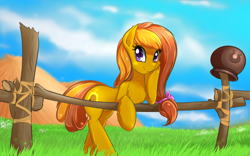 Size: 1680x1050 | Tagged: safe, artist:malifikyse, derpibooru import, oc, oc only, oc:honey ella, earth pony, pony, cute, earth pony oc, female, fence, grass, looking at you, mare, smiling, solo