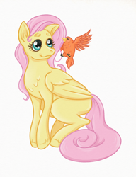 Size: 1394x1818 | Tagged: safe, artist:nouni, derpibooru exclusive, derpibooru import, constance, fluttershy, bird, pegasus, pony, chest fluff, cute, shyabetes, simple background, simple shading, sitting, solo, white background