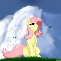 Size: 2048x2048 | Tagged: safe, artist:leoliu0491, derpibooru import, fluttershy, pegasus, pony, chest fluff, cloud, female, grass, high res, leaves, looking up, mare, outdoors, peaceful, signature, sitting, smiling, solo, three quarter view