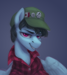 Size: 1800x2000 | Tagged: safe, artist:jewellier, derpibooru import, oc, oc only, pegasus, pony, canadian flag, cap, clothes, hat, looking at you, male, plaid shirt, shirt, simple background, solo, stallion