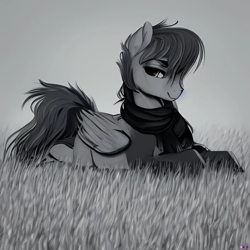 Size: 1024x1024 | Tagged: safe, alternate version, artist:hazy skies, derpibooru import, generator:stable diffusion, machine learning generated, oc, oc:hazy skies, pony, grass, grass field, looking at you, male, monochrome, simple background, smiling, solo, stallion