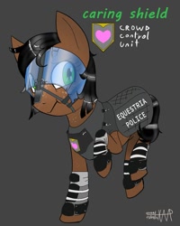 Size: 863x1080 | Tagged: safe, derpibooru import, oc, oc only, oc:caring shield, earth pony, pony, female, mare, riot gear