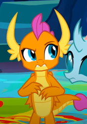 Size: 446x635 | Tagged: safe, derpibooru import, screencap, ocellus, smolder, changedling, changeling, dragon, uprooted, cropped, dragoness, female, raised eyebrow, solo focus