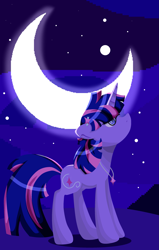 Size: 2021x3187 | Tagged: safe, artist:lindasaurie, derpibooru import, twilight sparkle, unicorn twilight, pony, unicorn, hair accessory, high res, jewelry, lineless, moon, necklace, night, night sky, redesign, sky, solo