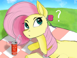 Size: 2160x1620 | Tagged: safe, artist:lumo_xu, derpibooru import, fluttershy, pegasus, pony, looking at you, picnic, question mark, sky, soda, solo