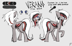 Size: 3208x2048 | Tagged: safe, derpibooru import, oc, oc only, oc:verano, bat pony, pony, bat pony oc, skateboard