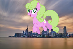 Size: 2048x1367 | Tagged: safe, artist:bluemeganium, artist:jaredking779, derpibooru import, daisy, flower wishes, earth pony, pony, background pony, canada, female, giant pony, giant/macro earth pony, giantess, highrise ponies, irl, looking at you, macro, mare, mega giant, open mouth, photo, ponies in real life, smiling, solo, toronto