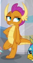 Size: 388x738 | Tagged: safe, derpibooru import, screencap, gallus, ocellus, smolder, changedling, changeling, dragon, griffon, she's all yak, cropped, hand on hip, offscreen character, raised eyebrow, smolder is not amused, solo focus, unamused