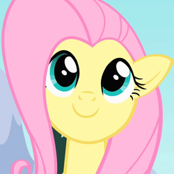 Size: 720x720 | Tagged: safe, derpibooru import, screencap, fluttershy, pegasus, pony, cropped, cute, female, happy, looking at you, mare, shyabetes, smiling, solo