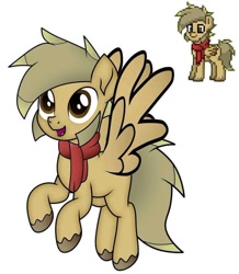 Size: 720x825 | Tagged: safe, derpibooru import, oc, oc only, oc:coffee coat, pegasus, pony, clothes, scarf, simple background, solo, white background