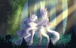 Size: 3110x1985 | Tagged: safe, artist:thelazyponyy, derpibooru import, oc, oc only, alicorn, pony, alicorn oc, forest, horn, looking back, one wing out, outdoors, smiling, solo, wings