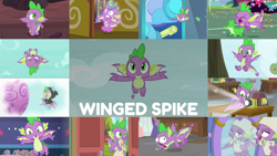 Size: 1974x1111 | Tagged: safe, derpibooru import, edit, edited screencap, editor:quoterific, screencap, gummy, spike, a matter of principals, a trivial pursuit, best gift ever, father knows beast, marks for effort, molt down, school raze, sparkle's seven, sweet and smoky, the big mac question, the ending of the end, the point of no return, yakity-sax, clothes, costume, cute, dangerous mission outfit, goggles, hoodie, hot air balloon, mirror, pajamas, projector, spikabetes