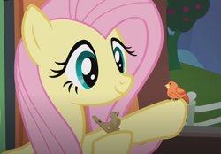 Size: 654x454 | Tagged: safe, derpibooru import, screencap, constance, fluttershy, bird, pony, trade ya, raised hoof, raised leg, whistle