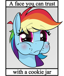 Size: 1011x1200 | Tagged: safe, artist:dacaoo, derpibooru import, rainbow dash, blatant lies, text, this will end in colic