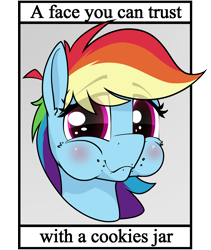 Size: 4134x4908 | Tagged: safe, artist:dacaoo, derpibooru import, rainbow dash, pegasus, pony, blatant lies, bust, cookie thief, eye clipping through hair, eyebrows, eyebrows visible through hair, portrait, text, this will end in colic