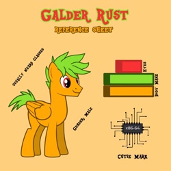 Size: 1920x1920 | Tagged: safe, artist:jamextreme140, derpibooru import, oc, oc:galder rust, pegasus, pony, description, reference sheet, story included