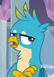 Size: 591x834 | Tagged: safe, derpibooru import, screencap, gallus, griffon, school daze, cropped, crossed arms, gallus is not amused, male, solo, unamused