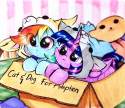 Size: 2602x2247 | Tagged: safe, artist:liaaqila, derpibooru import, rainbow dash, twilight sparkle, twilight sparkle (alicorn), alicorn, pegasus, pony, animal costume, blurry background, cardboard box, clothes, costume, cute, daaaaaaaaaaaw, dashabetes, eye clipping through hair, female, folded wings, horn, lesbian, liaaqila is trying to murder us, mare, shipping, squishy cheeks, text, twiabetes, twidash, weapons-grade cute, wings