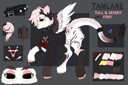 Size: 4500x3000 | Tagged: safe, artist:etoz, derpibooru import, oc, oc only, oc:tamlane, original species, pegasus, pony, clothed sex, clothes, collar, eyebrows, fangs, forked tongue, horns, long tail, long tongue, male, pegasus oc, piercing, reference sheet, sex, skinny, stallion, tail, tall, text, tongue, tongue out, wings