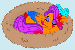 Size: 1280x855 | Tagged: safe, artist:missbramblemele, derpibooru import, oc, oc only, pegasus, pony, blue background, bow, female, hair bow, mare, nest, simple background, sleeping, solo, tail, tail bow