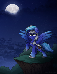 Size: 2024x2624 | Tagged: safe, artist:madelinne, derpibooru import, oc, oc only, pegasus, pony, armor, commission, moon, night, royal guard, solo, stars