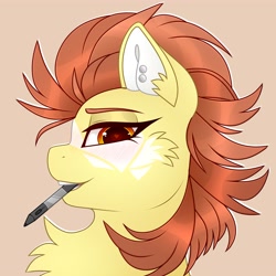 Size: 4000x4000 | Tagged: safe, artist:chromatic-sheen, derpibooru import, oc, oc only, oc:burst sketch, pegasus, pony, bust, cheek fluff, chest fluff, ear fluff, ears, female, looking at you, mare, pegasus oc, pen, pencil, simple background, solo