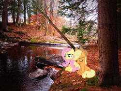 Size: 2048x1536 | Tagged: safe, artist:estories, artist:jaredking779, artist:realgamerkitten, derpibooru import, applejack, fluttershy, earth pony, pegasus, pony, autumn, concord, cowboy hat, eyes closed, female, forest, hat, irl, leaves, mare, new hampshire, photo, ponies in real life, river, sitting, smiling, stetson, water