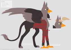 Size: 6856x4840 | Tagged: safe, artist:snows-doodles, derpibooru import, oc, oc only, griffon, accessories, clothes, colored, flat cap, flat colors, folded wings, griffon oc, hat, jacket, paws, reference sheet, simple background, talons, wings