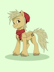 Size: 1620x2160 | Tagged: artist needed, safe, derpibooru import, oc, oc only, oc:coffee coat, pegasus, pony, solo