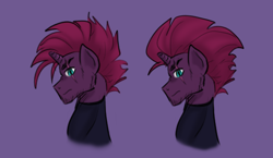 Size: 2314x1343 | Tagged: safe, artist:daazzlin, derpibooru import, cyclone shade, tempest shadow, unicorn, alternate hairstyle, broken horn, cheek fluff, chin fluff, eye scar, facial scar, horn, mohawk, palindrome get, profile, rule 63, scar, solo