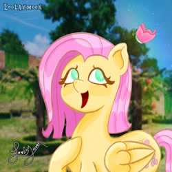 Size: 2048x2048 | Tagged: safe, artist:loolaymoon, derpibooru import, fluttershy, butterfly, pegasus, pony, cute, shyabetes, solo