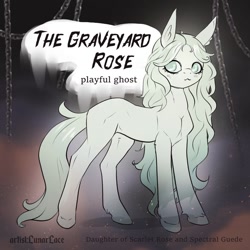 Size: 1200x1200 | Tagged: safe, artist:lunarlacepony, derpibooru import, oc, oc:the graveyard rose, earth pony, ghost, ghost pony, pony