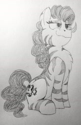 Size: 1452x2232 | Tagged: safe, artist:anonymous, derpibooru import, oc, oc only, oc:rampage, earth pony, pony, fallout equestria, fallout equestria: project horizons, chest fluff, fanfic art, paper, sitting, smug, solo, traditional art