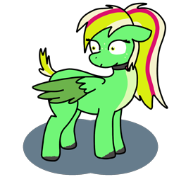 Size: 1272x1290 | Tagged: safe, artist:cocacola1012, derpibooru import, oc, oc only, oc:gumdrops, pegasus, pony, collar, short tail, simple background, solo, tail, transparent background