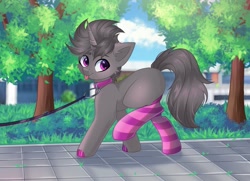 Size: 1449x1049 | Tagged: artist needed, safe, derpibooru import, oc, oc only, oc:2tense, pony, unicorn, :p, blank flank, blushing, clothes, collar, grass, hoof polish, leash, looking at you, male, outdoors, pet play, pony pet, socks, solo, striped socks, thigh highs, tongue, tongue out, tree