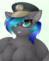 Size: 3277x4096 | Tagged: safe, artist:chromatic-sheen, derpibooru import, oc, oc only, pegasus, pony, bust, chest fluff, commission, female, glasses, hat, looking at you, mare, pegasus oc, smiling, smiling at you, solo, spread wings, wings