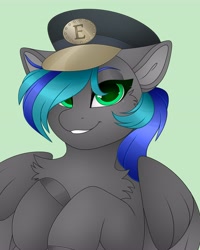 Size: 3277x4096 | Tagged: safe, artist:chromatic-sheen, derpibooru import, oc, oc only, pegasus, pony, abstract background, chest fluff, female, hat, mare, pegasus oc, solo, spread wings, wings