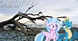 Size: 2064x1105 | Tagged: safe, artist:cloudyglow, artist:dashiesparkle, artist:not-yet-a-brony, derpibooru import, gallus, silverstream, griffon, hippogriff, 2022, beach, cloud, driftwood, female, friends, friendship, gallstream, lyrics in the description, male, ocean, september, shipping, song reference, straight, water, youtube link in the description