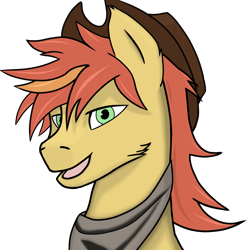 Size: 2048x2048 | Tagged: safe, artist:yerwarrior, derpibooru import, oc, oc only, oc:zestar apple, earth pony, pony, bandana, bust, cowboy hat, earth pony oc, hat, looking at you, male, open mouth, portrait, simple background, smiling, smiling at you, solo, stallion, transparent background