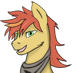 Size: 2048x2048 | Tagged: safe, alternate version, artist:yerwarrior, derpibooru import, oc, oc only, oc:zestar apple, earth pony, pony, bandana, bust, earth pony oc, looking at you, male, open mouth, portrait, simple background, smiling, smiling at you, solo, stallion, transparent background