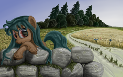 Size: 1920x1200 | Tagged: safe, artist:battyboopers, derpibooru import, oc, oc only, earth pony, pony, ear fluff, ears, earth pony oc, female, field, food, forest, oats, scenery, solo, unshorn fetlocks